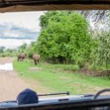 ZMB EAS SouthLuangwa 2016DEC10 KapaniLodge 005 : 2016, 2016 - African Adventures, Africa, Date, December, Eastern, Kapani Lodge, Mfuwe, Month, Places, South Luangwa, Trips, Year, Zambia